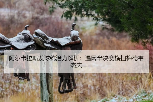 a-er-ka-la-si-fa-qiu-tong-zhi-li-jie-xi-wen-wang-ban-jue-sai-heng-sao-mei-de-wei-jie-fu-2-409.jpg