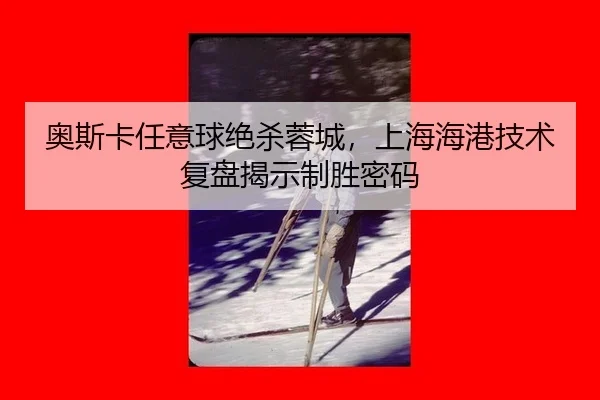 ao-si-ka-ren-yi-qiu-jue-sha-rong-cheng-shang-hai-hai-gang-ji-shu-fu-pan-jie-shi-zhi-sheng-mi-ma-2-456.jpg