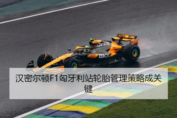 汉密尔顿F1匈牙利站轮胎管理策略成关键