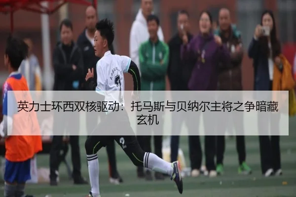 ying-li-shi-huan-xi-shuang-he-qu-dong-tuo-ma-si-yu-bei-na-er-zhu-jiang-zhi-zheng-an-cang-xuan-ji-3-877.jpg